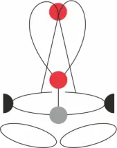 Привязь страховочная GOLDEN TOP PLUS 2024, размер L-XXL, CAMP